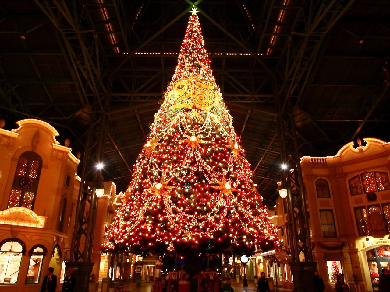 東京ディズニーラン・クリスマス２００８ 夜景写真