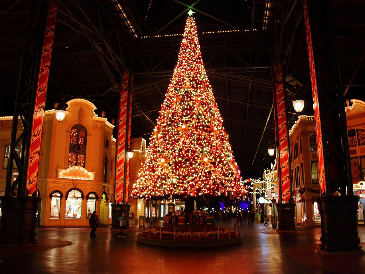 東京ディズニーラン クリスマス２００９ 夜景写真