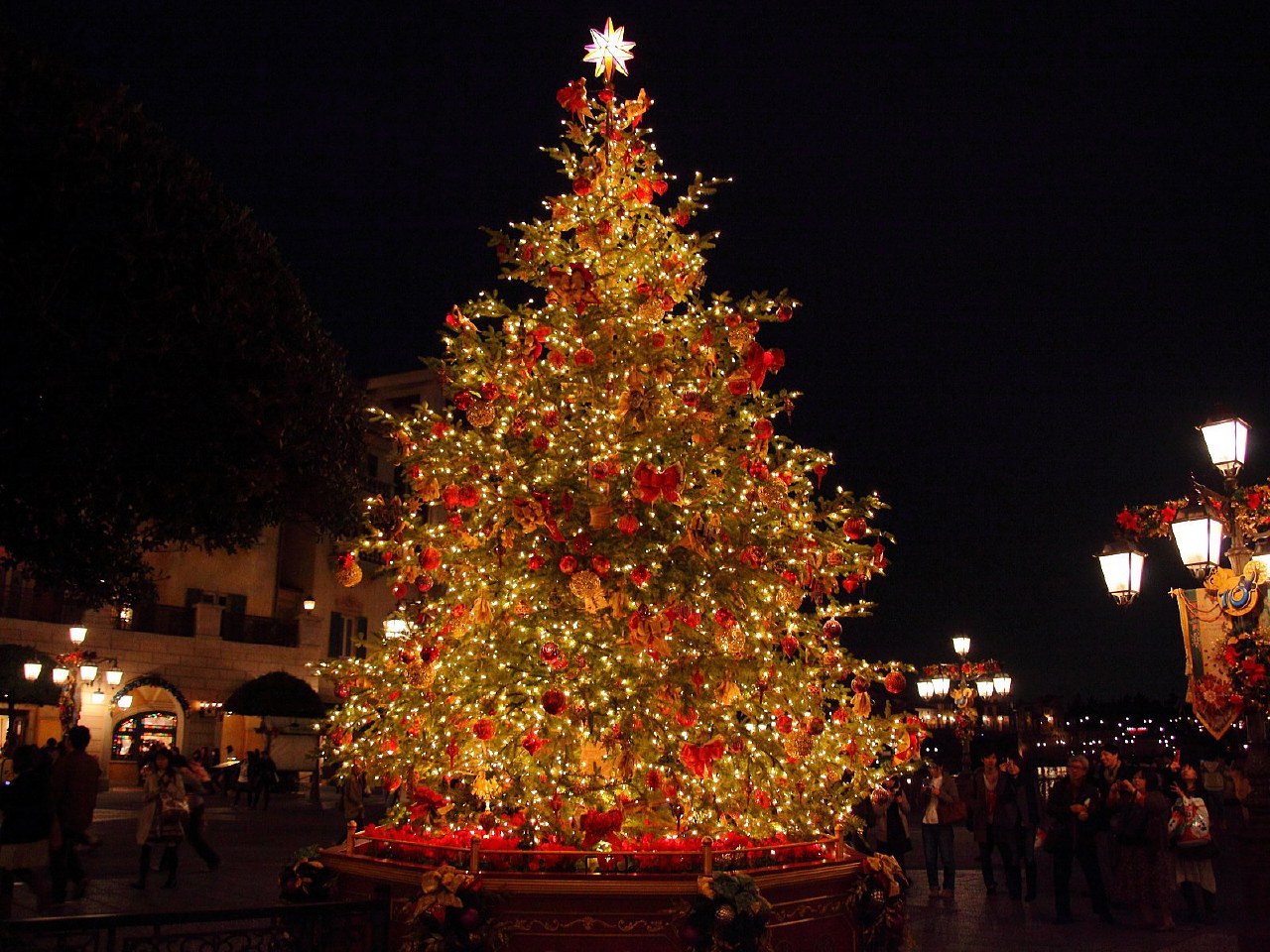 東京ディズニーシー クリスマス ウィッシュ２０１１ 夜景写真