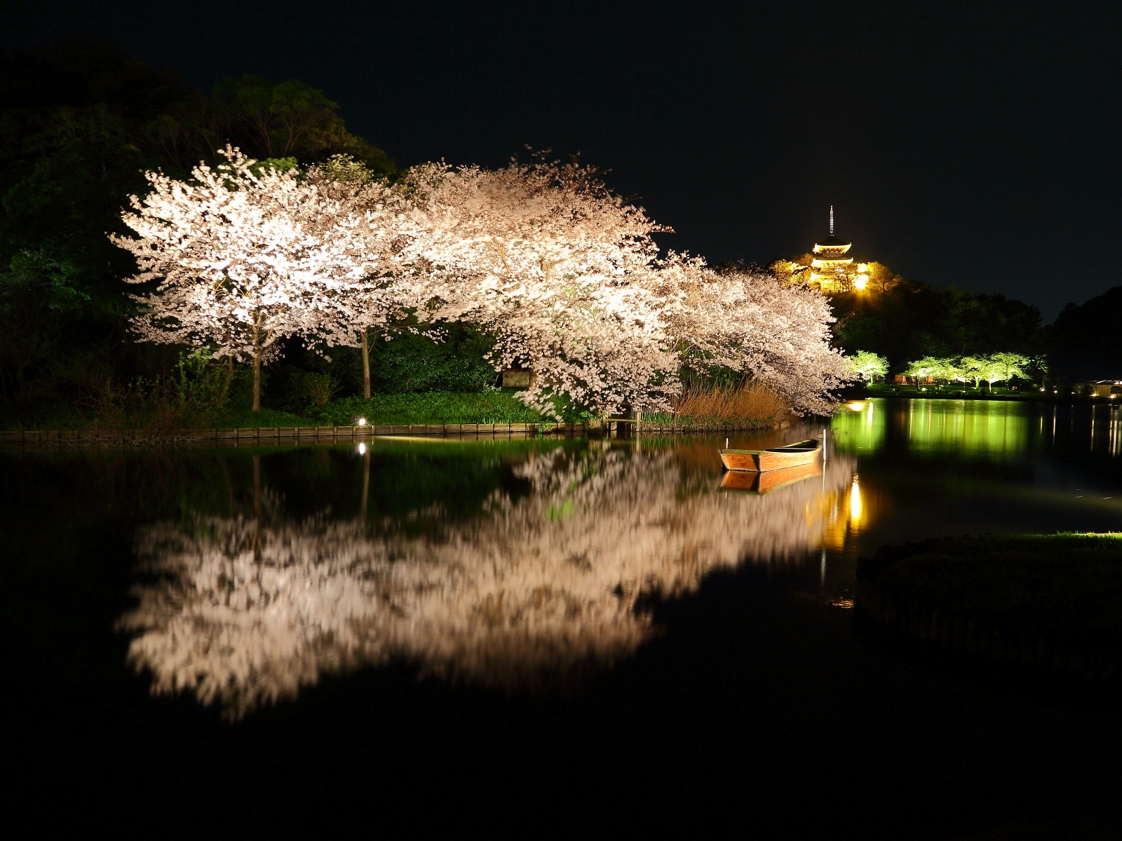 夜桜の壁紙