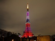 東京タワー 華嵐 嵐カラー 東京タワー 青 赤 緑 黄 紫