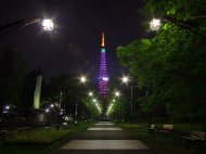 東京夜景写真 Night Windows 東京の夜景 夜景写真を無料でダウンロード